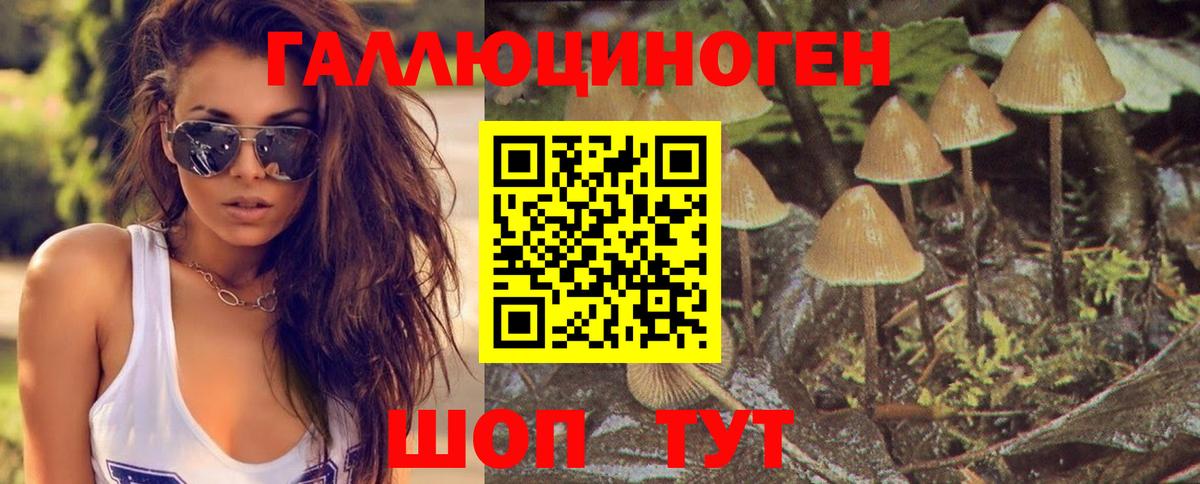 Псилоцибиновые грибы прущие грибы  Вход с VPN  Заводоуковск 