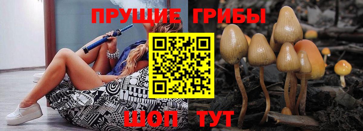 Галлюциногенные грибы мухоморы Заводоуковск